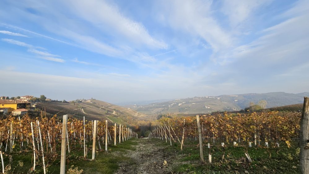Piemonte: Barolo, Barbaresco & Beyond!